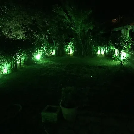 Apartment George House