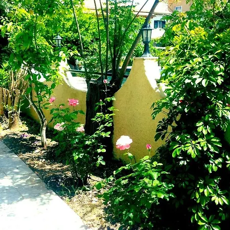 Apartment George House